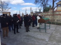 Kocaeli'deki Feci Kazada Hayatını Kaybeden 3 Genç Son Yolculuğuna Uğurlandı