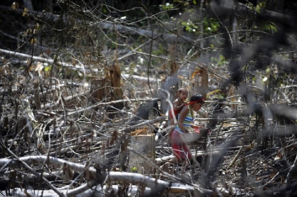 Covid-19, Amazon ormanlarında dış dünyadan izole halde yaşayan Yanomami halkına sıçradı