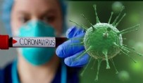 CALIFORNIA ÜNIVERSITESI - Bilim insanları açıkladı! Corona virüs salgınına yol açan şey