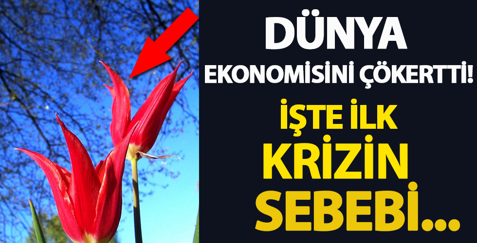 Dünyada bilinen ilk ekonomik krizin şaşırtan sebebi...