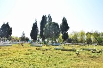 İncirliova'da Belediye Mezarlıkları Temizliyor Haberi