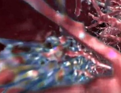 Koronavirüsün en kapsamlı ve detaylı tarama görüntüsü ortaya çıktı!