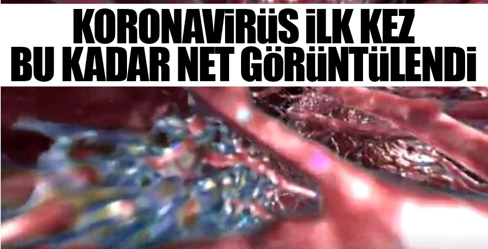 Koronavirüsün en kapsamlı ve detaylı tarama görüntüsü ortaya çıktı!