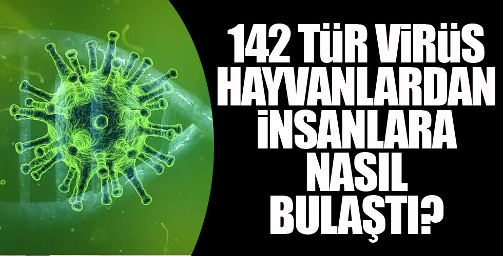 O virüsler insana nasıl geçti?