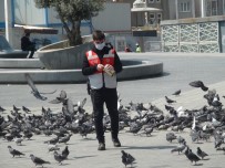 Belediye Görevlisi Taksim Meydanı'nda Aç Kalan Güvercinleri Unutmadı