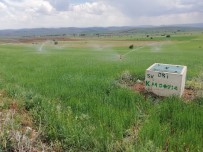 Gümüşhane'de 113 Bin 800 Dekar Tarım Arazisinin Sulanmasına Başladı Haberi