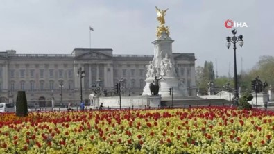 İngiltere'de Son 24 Saatte Korona Virüsten 739 Kişi Öldü