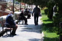 Akşehir'de 65 Yaş Üzeri Vatandaşlar Güneşli Havanın Tadını Çıkardı