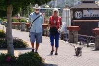 Alanya'da Yaşlıların Sokak Keyfi