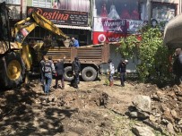 Devrilen Çınar Ağacının Yerine Yenisi Dikildi