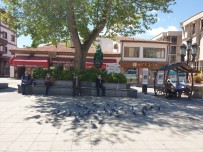 Nallıhan'da Yaşlılar ATM'lere Ve Meydanlara Koştu