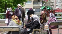 Samsun'da Yaşlılar Parklara Akın Etti