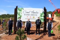 Türkiye'de 100 Yaşını Aşmış Anneler İçin Hatıra Ormanı Oluşturuldu