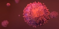 MEDYA KURULUŞLARI - Koronavirüsün cinsiyetini açıkladılar