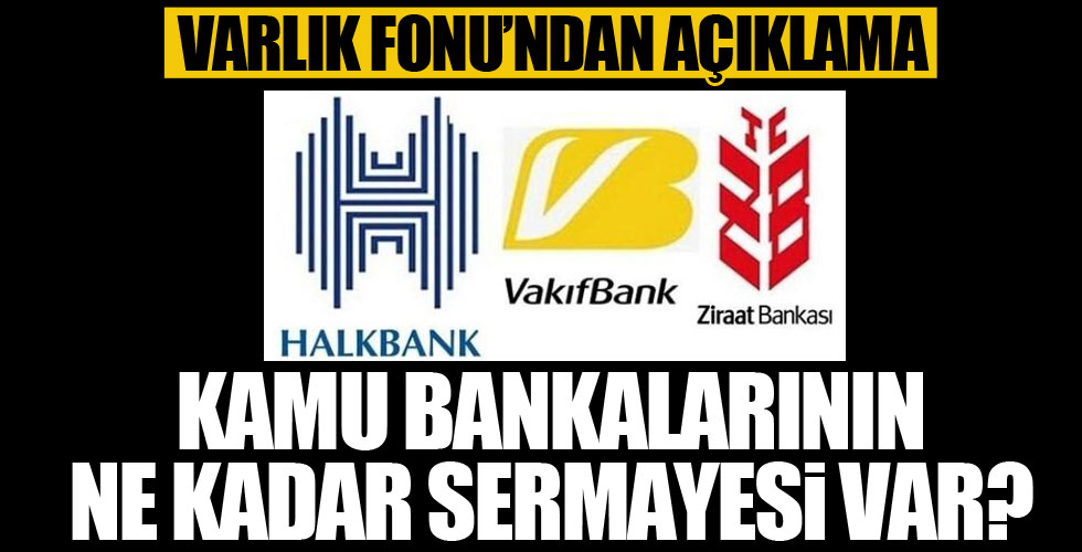 Kamu bankalarının ne kadar sermayesi var?