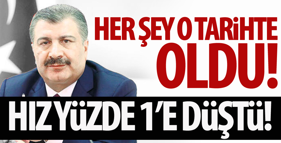 Koronavirüste kırılma tarihi!