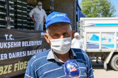 Başkentli Üreticiye Fide Desteği Başladı