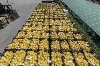 Mersin'den İstanbul Ve Ankara'ya Son Limon Sevkiyatı Da Yapıldı