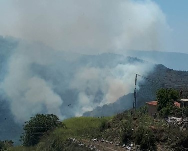 Ormanlık Alandaki Yangın Paniğe Neden Oldu