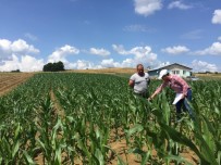 Büyükşehir Destekliyor, Kocaelili Çiftçiler Üretiyor