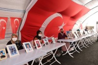 HDP Önündeki Ailelerin Evlat Nöbeti 255'İnci Gününde