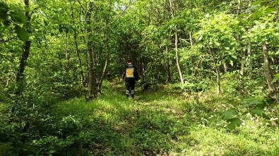 Köylüler Ormanda Çıkan Yangınına Müdahale Ederken Dumandan Etkilendi