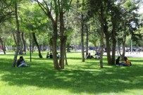 Diyarbakır'da  Kısıtlama Kalktı Gençler Sokaklara Akın Etti