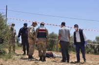 Zeytin Bahçesinde Ceset Bulundu