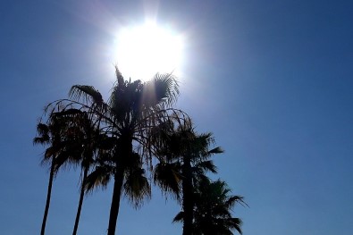 Aydın Ve Çevresine 'Ani Sıcaklık Artışı' Uyarısı