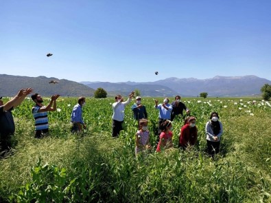 Burdur Karaaliler Ovasına 5 Bin Bıldırcın Bırakıldı