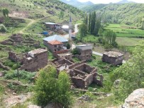 Gidemedikleri Köylerine Kamera Yerleştirip Özlem Gideriyorlar