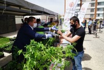 Kastamonu Belediyesi, Serasında Ürettiği Fideleri Vatandaşlara Dağıttı