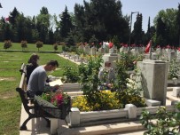 Oğlunu Özleyen Şehit Annesi, Kabristana Polislerle Gitti