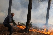 Salgın Da Orman Yangınlarını Engelleyemedi