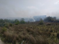 Samsun'da Korkutan Sazlık Yangını