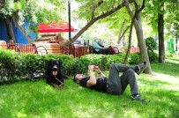 65 Yaş Ve Üstü Vatandaşlar 1 Hafta Aradan Sonra Tekrardan Sokaklarda