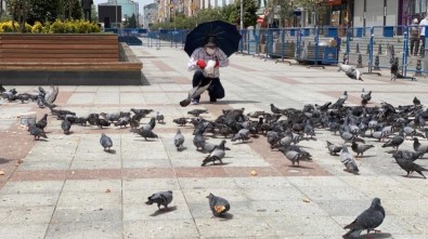 Kısıtlama Günlerinde Güvercinleri 65 Yaş Üstü Vatandaşlar Besledi