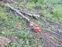 Ormanda Kesim Yapıldığı Esnada Ağaç Dalı Başına Düşen Genç Hayatını Kaybetti