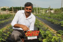 Terör Bitti, Diyarbakır'da Çiftçiler Tarlaya İndi Haberi