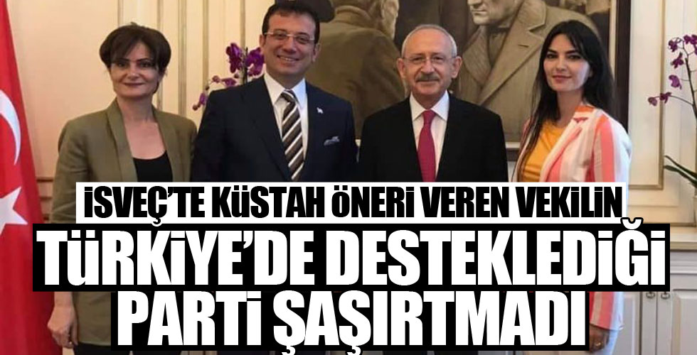 İsveç'te Türk asıllı vekillerden küstah öneri!