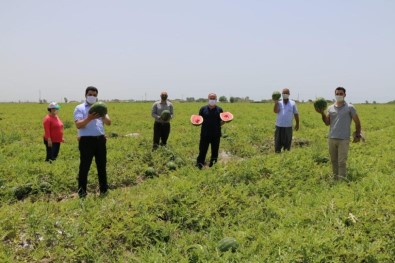 Karpuz Timleri Denetimde