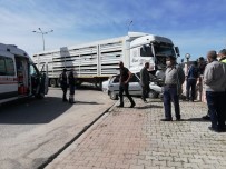 Adilcevaz'da Trafik Kazası; 1 Yaralı Haberi