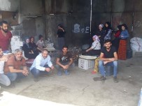 Kıbrıs'ta Mahsur Kalan Urfalı İşçiler Yardım İstedi