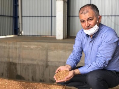 Kızıltepe'de Hasadı Başlayan Kırmızı Mercimek Hububat Merkezine Getirildi