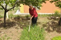 Sokağa Çıkmayan Yaşlı Kadın Doğal Sebze Yetiştirerek Gününü Geçiriyor Haberi
