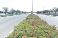 Ankara Büyükşehir Belediyesinden Sulamada Tasarruf Dönemi