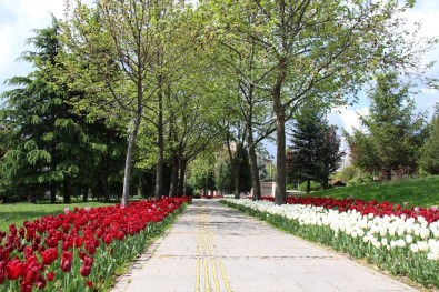 Başkentin Sembol Mekanları Boş Kaldı