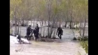 Aras Nehri'ne Düşen Danayı AFAD Kurtardı Haberi