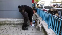 Emniyetin Sevimli Köpeği 'Pakize' 11 Yıldır Polislerden Ayrılmıyor