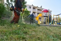 Erenler'de Bayram Temizliği Başladı